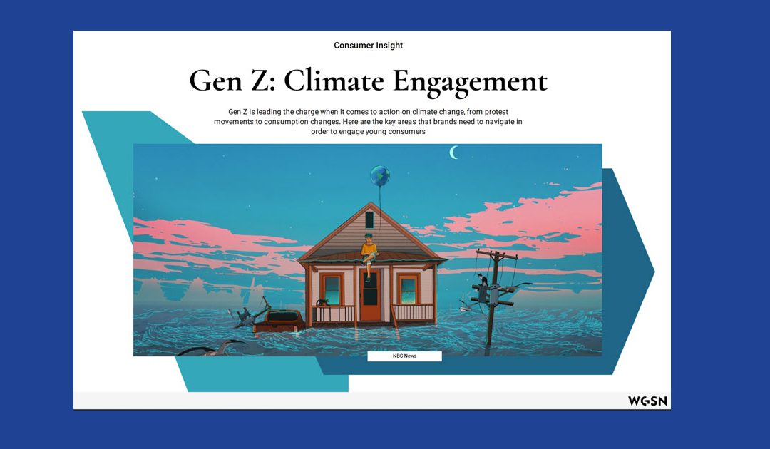 Gen Z: Climate Engagement Consumer Insight