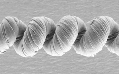 Nanotube Yarn Makes Strong Bionic Muscles