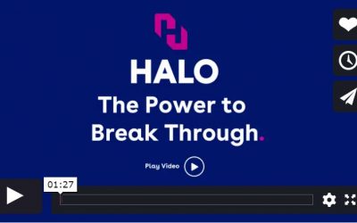 HALO Launches Brand Redesign
