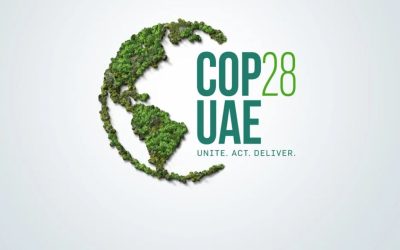 COP28 crowds: a dangerous distraction or sign of success?