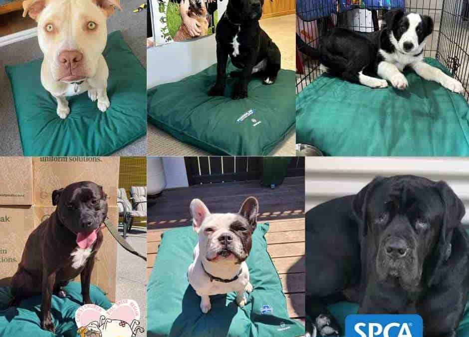 End-of-Life Uniform Programs: Dog beds made from old work clothes