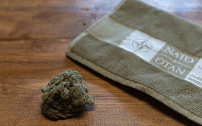 NATO top staff receive towels made from old military uniforms