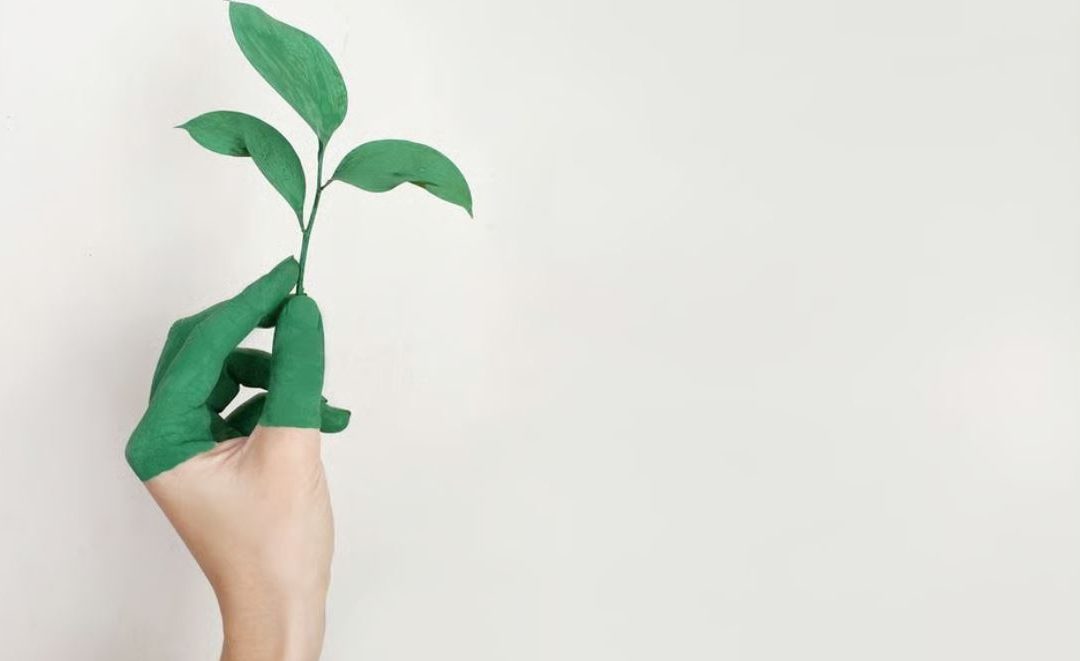 WRAP resets Textiles Pact Roadmap 2030 challenge as soaring textile volumes derail progress