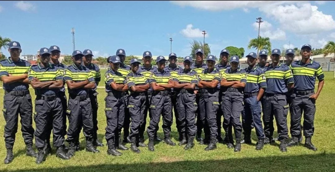 From velvet green to Flemish yellow: what police colors say about a country