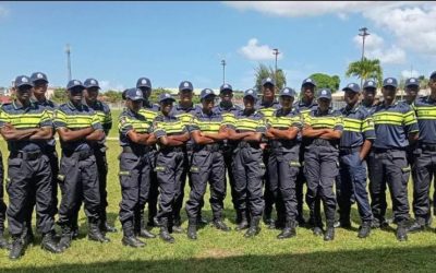 From velvet green to Flemish yellow: what police colors say about a country