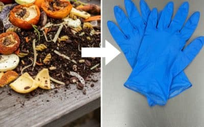 Brits want to make medical gloves from food waste