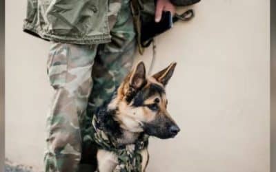 How fashion borrowed military aesthetics and lost the context